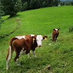Sonnige Ruhige Bergpanorama Auf 1200m Mit Sued Balkon * Mühlbach am Hochkönig