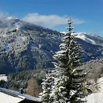 Sonnige Ruhige Bergpanorama Auf 1200m Mit Sued Balkon * Mühlbach am Hochkönig