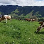 Sonnige Ruhige Bergpanorama Auf 1200m Mit Sued Balkon דירה *