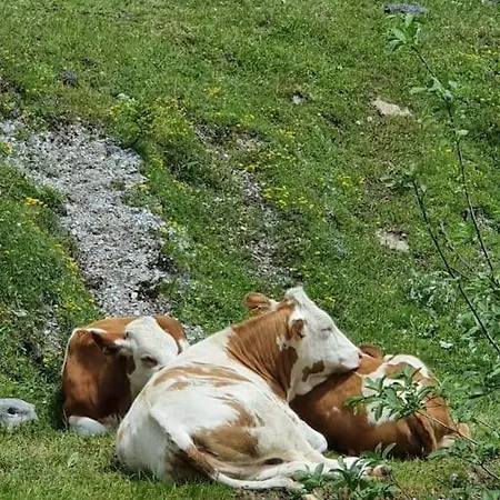 Sonnige Ruhige Bergpanorama Auf 1200m Mit Sued Balkon Mühlbach am Hochkönig