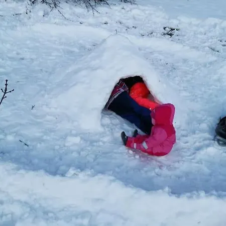 Daire Sonnige Ruhige Bergpanorama Auf 1200m Mit Sued Balkon Mühlbach am Hochkönig