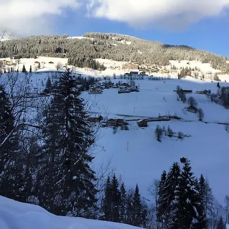 Sonnige Ruhige Bergpanorama Auf 1200m Mit Sued Balkon Daire Mühlbach am Hochkönig