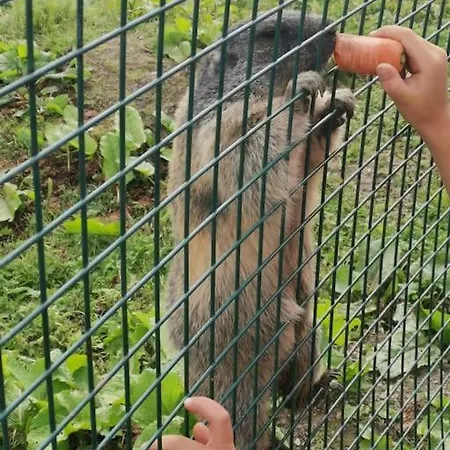 Sonnige Ruhige Bergpanorama Auf 1200m Mit Sued Balkon Apartament Mühlbach am Hochkönig