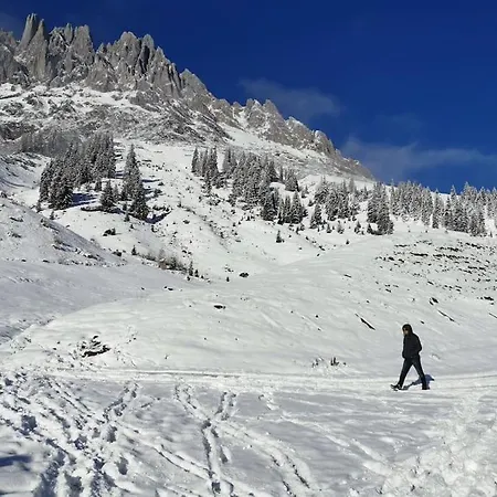 Sonnige Ruhige Bergpanorama Auf 1200m Mit Sued Balkon Daire
