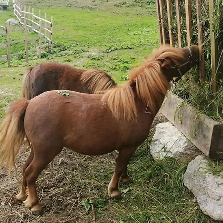 Sonnige Ruhige Bergpanorama Auf 1200m Mit Sued Balkon Daire *