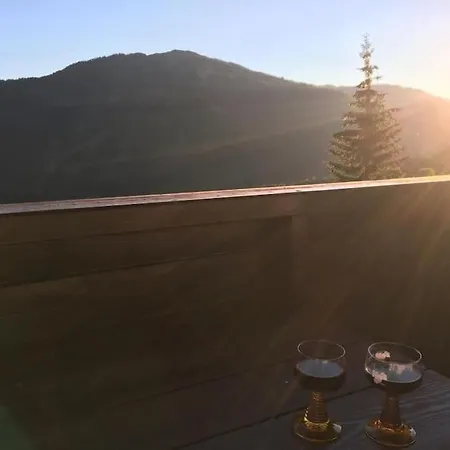 Sonnige Ruhige Bergpanorama Auf 1200m Mit Sued Balkon Apartament Mühlbach am Hochkönig