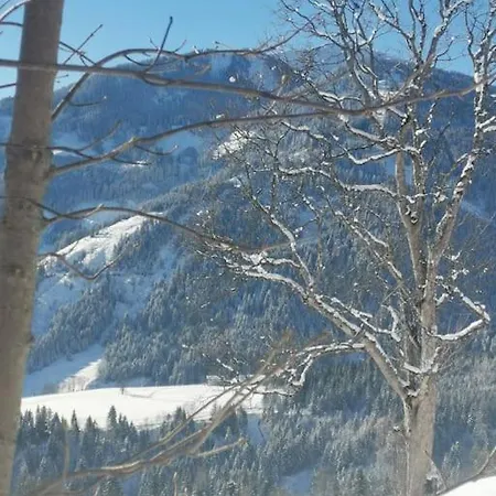 Sonnige Ruhige Bergpanorama Auf 1200m Mit Sued Balkon Mühlbach am Hochkönig