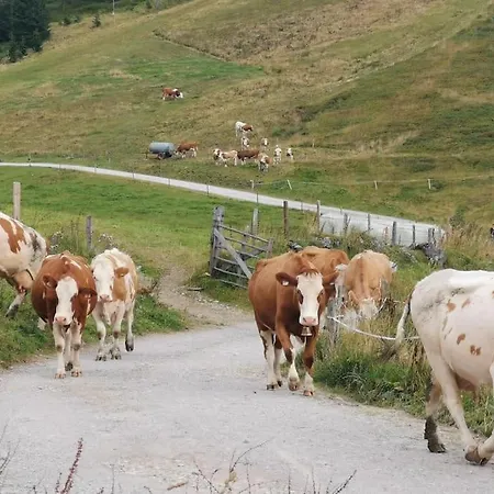 Sonnige Ruhige Bergpanorama Auf 1200m Mit Sued Balkon