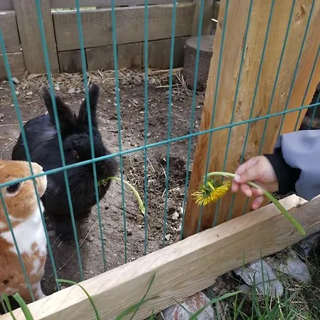 Sonnige Ruhige Bergpanorama Auf 1200m Mit Sued Balkon *