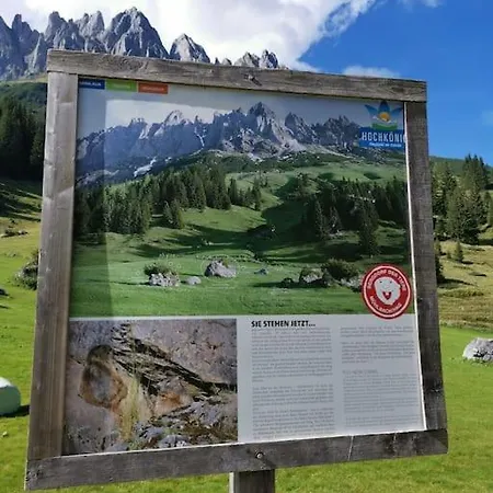 Sonnige Ruhige Bergpanorama Auf 1200m Mit Sued Balkon Daire Mühlbach am Hochkönig