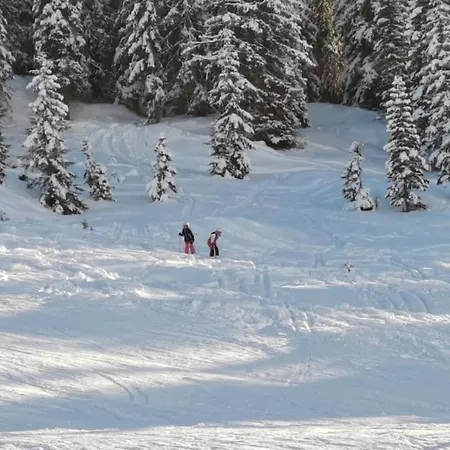 Apartment Bergpanorama Traumlage Auf 1200m Inkl Spielzeug Muhlbach Am Hochkonig