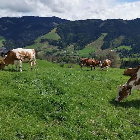 Sonnige Ruhige Bergpanorama Auf 1200m Mit Sued Balkon Daire *