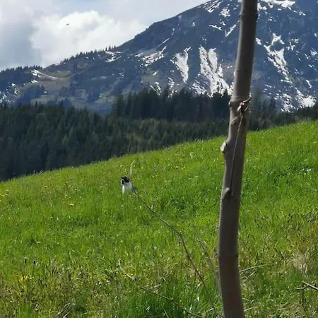 Apartament Sonnige Ruhige Bergpanorama Auf 1200m Mit Sued Balkon *