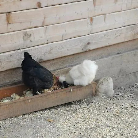 Daire Sonnige Ruhige Bergpanorama Auf 1200m Mit Sued Balkon Mühlbach am Hochkönig