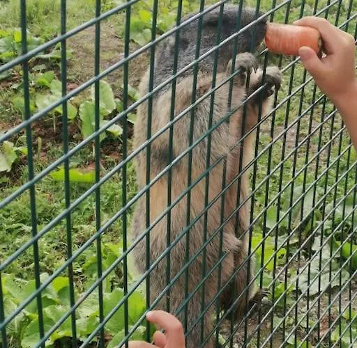 Sonnige Ruhige Bergpanorama Auf 1200m Mit Sued Balkon Apartment Muhlbach Am Hochkonig