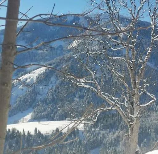 Sonnige Ruhige Bergpanorama Auf 1200m Mit Sued Balkon Мюльбах-ам-Хохкёниг