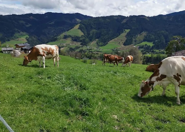 Sonnige Ruhige Bergpanorama Auf 1200m Mit Sued Balkon Апартаменты *
