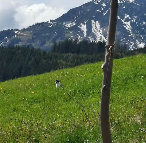 Апартаменты Sonnige Ruhige Bergpanorama Auf 1200m Mit Sued Balkon *